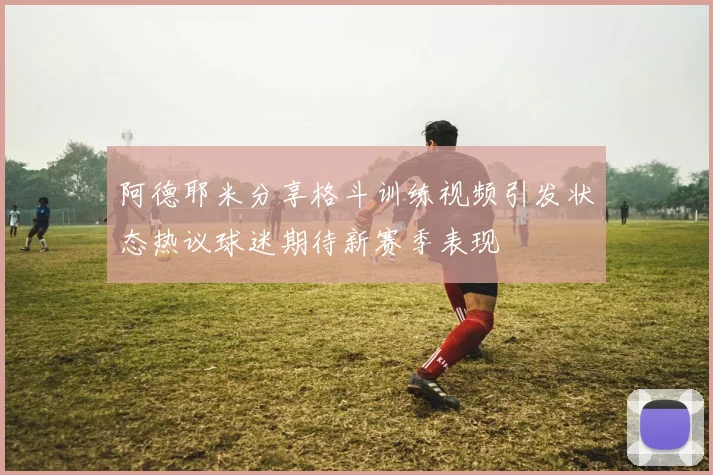 阿德耶米分享格斗训练视频引发状态热议球迷期待新赛季表现